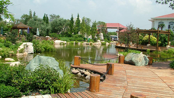 Ô°ÁÖÂÌ»¯¹¤³Ì Ô°ÁÖÂÌ»¯¹¤³Ì